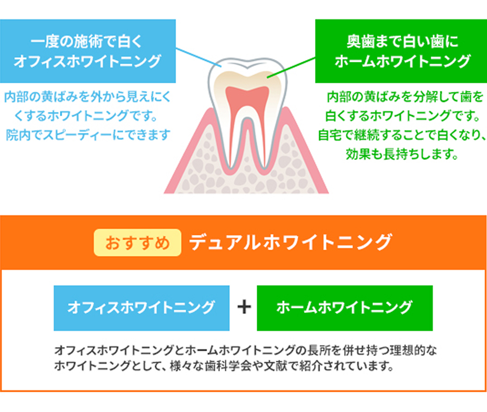 デュアルホワイトニング